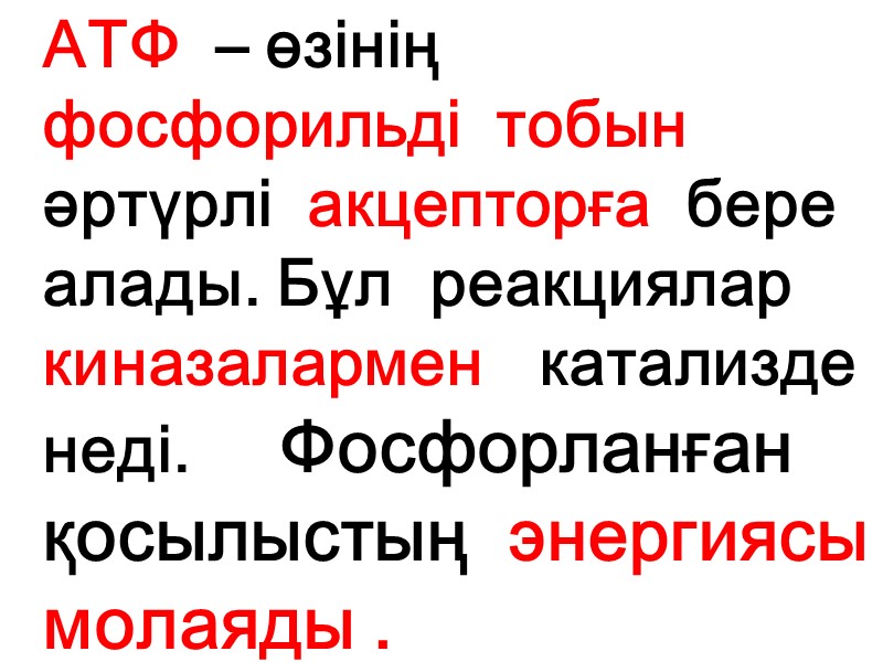 АТФ  – өзінің  фосфорильді  тобын әртүрлі  акцепторға  бере 